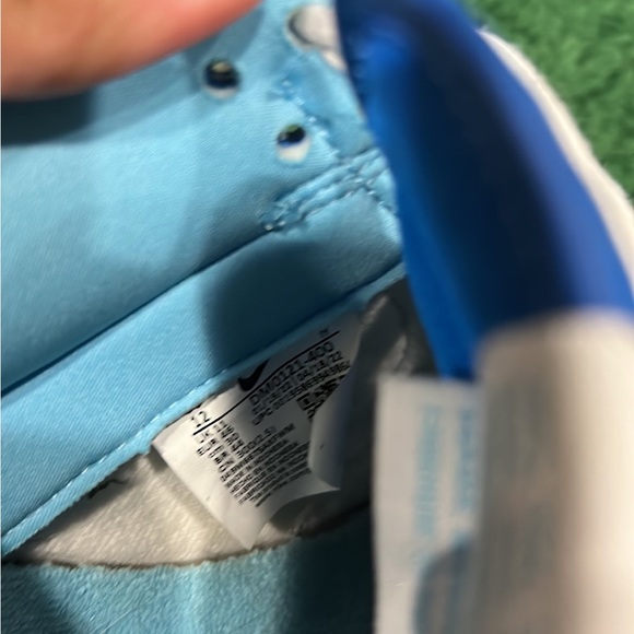 Nike Argon Dunk size 12 - Picture 3 of 6